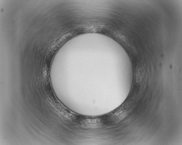 X0000052580314200507221550