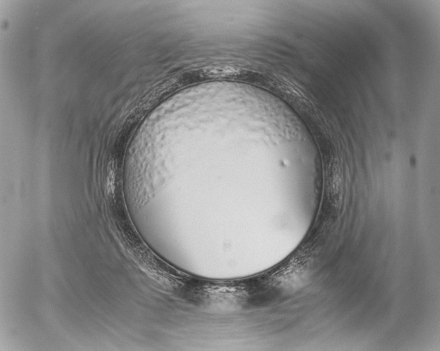 X0000052580315200507221550