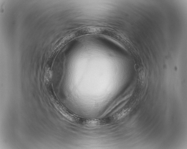 X0000052580325200507221550