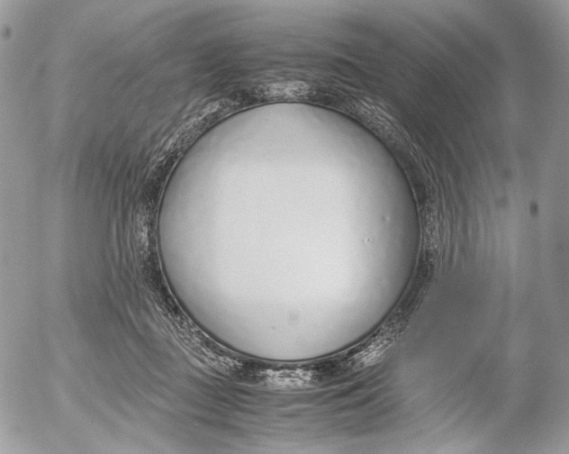 X0000052580363200507221549