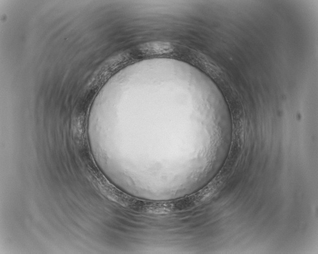 X0000052580373200507221549
