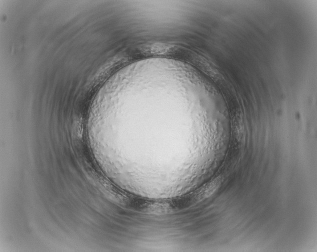X0000052580374200507221549