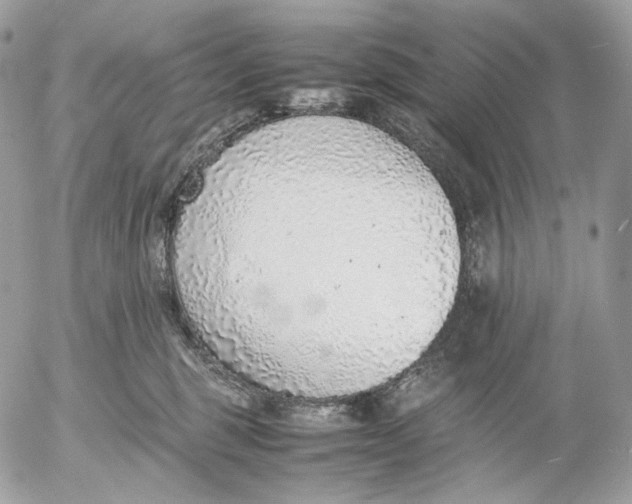 X0000052580375200507221549