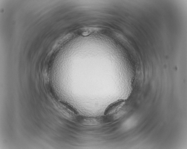X0000052580381200507221549