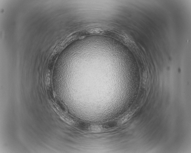 X0000052580413200507221548