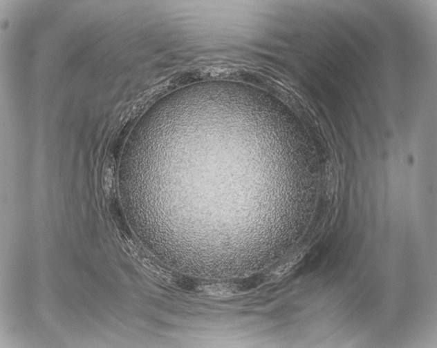 X0000052580417200507221548
