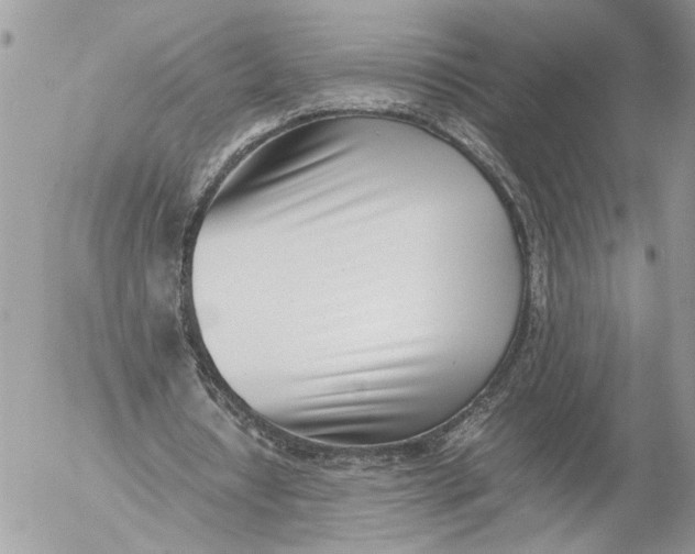 X0000052580434200507221547