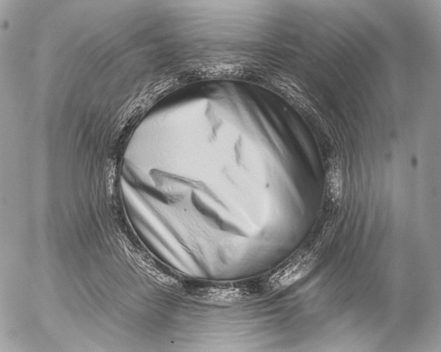 X0000052580458200507221547