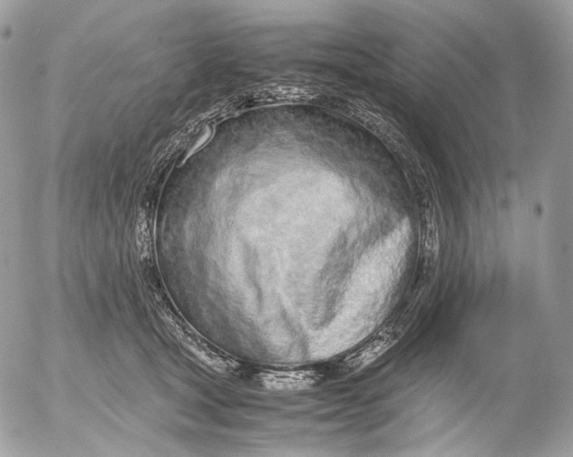 X0000052580465200507221548