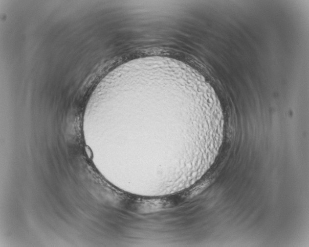 X0000052580473200507221548
