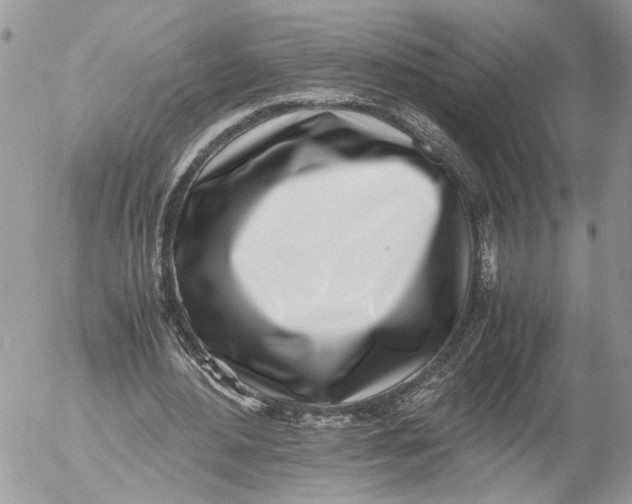 X0000052580484200507221547
