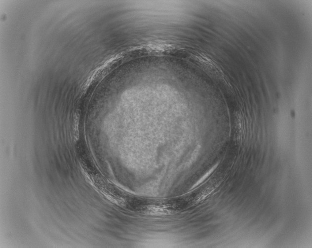 X0000052580496200507221547