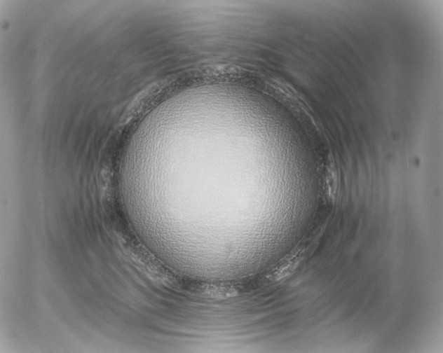 X0000052580520200507221546