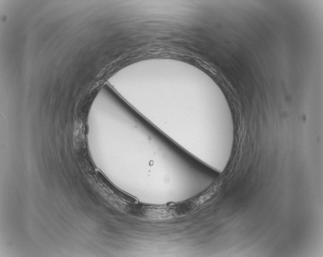 X0000052580521200507221546