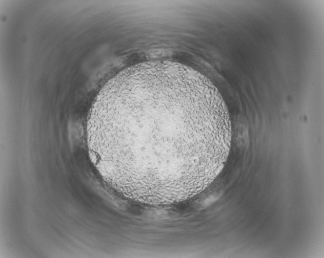 X0000052580523200507221546
