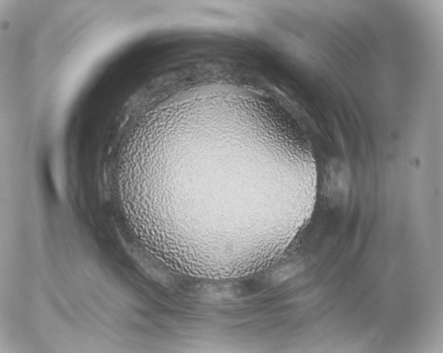X0000052580524200507221546