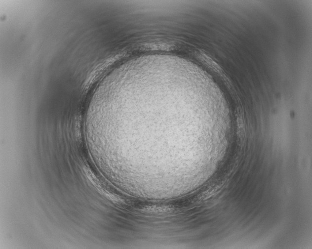 X0000052580537200507221546