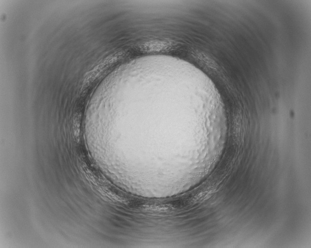 X0000052580545200507221546