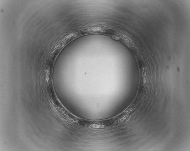 X0000052580546200507221546