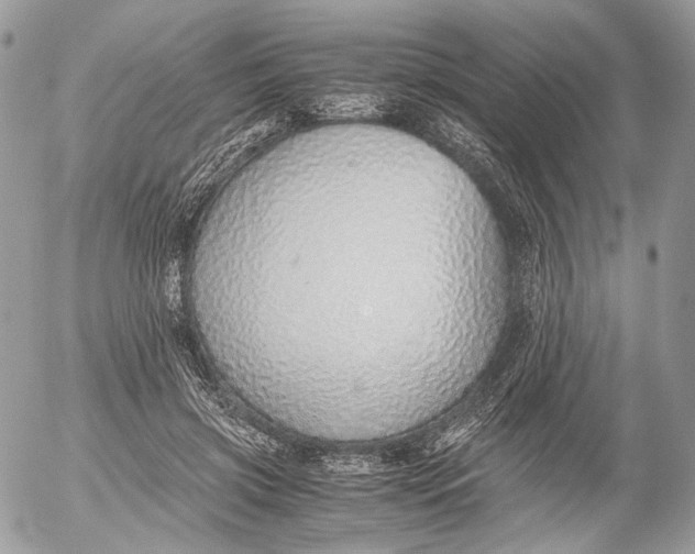 X0000052580549200507221546