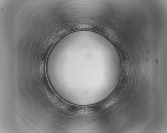 X0000052580550200507221546
