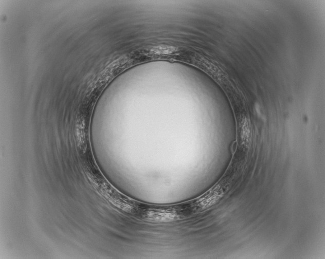 X0000052580559200507221546