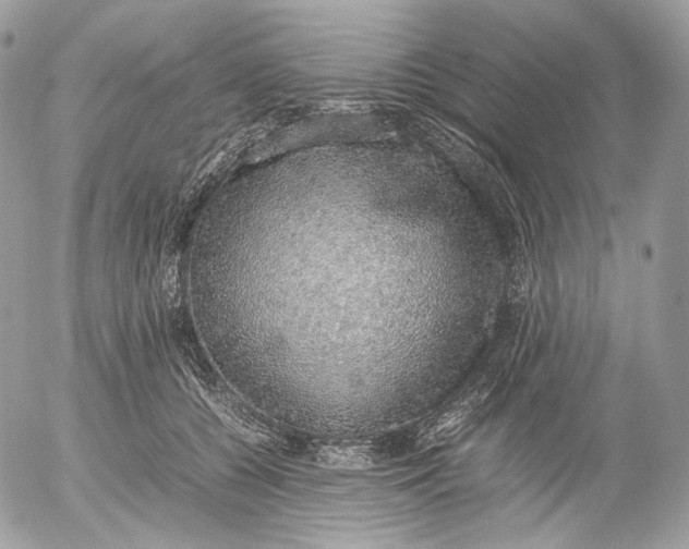 X0000052580560200507221546