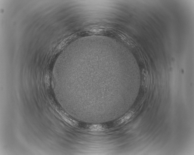 X0000052580562200507221546