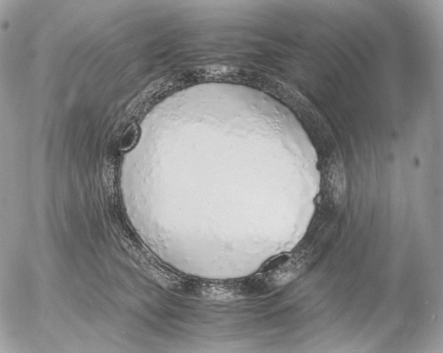 X0000052580565200507221546