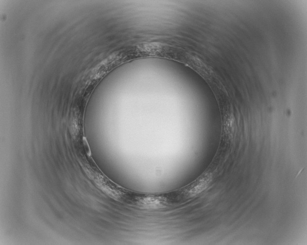 X0000052580566200507221546