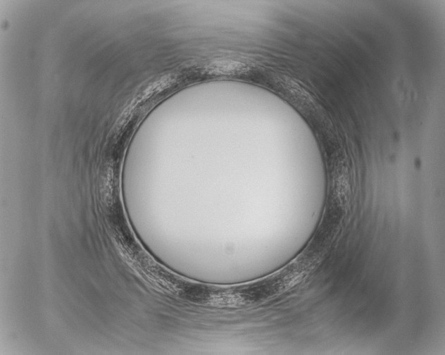 X0000052580591200507221545