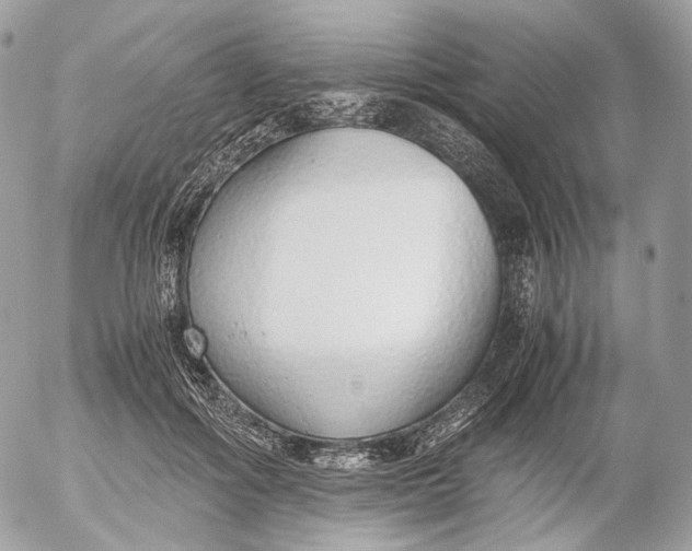 X0000052580602200507221545
