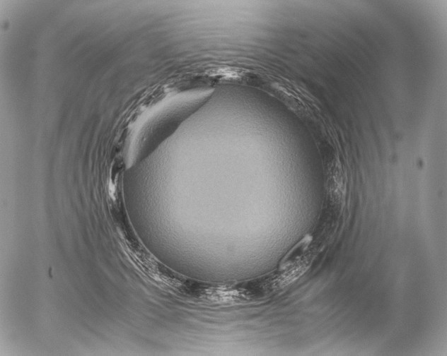 X0000052580607200507221545
