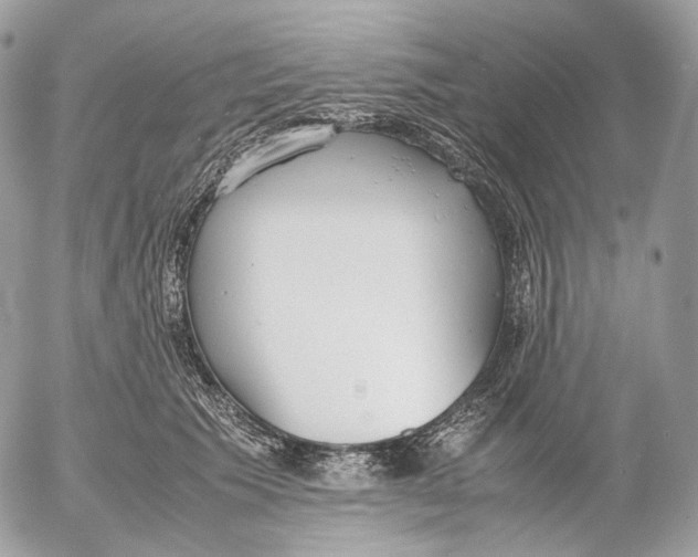 X0000052580609200507221545