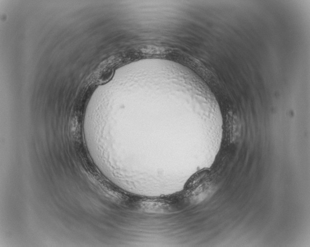 X0000052580614200507221545