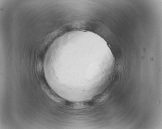 X0000052580623200507221545