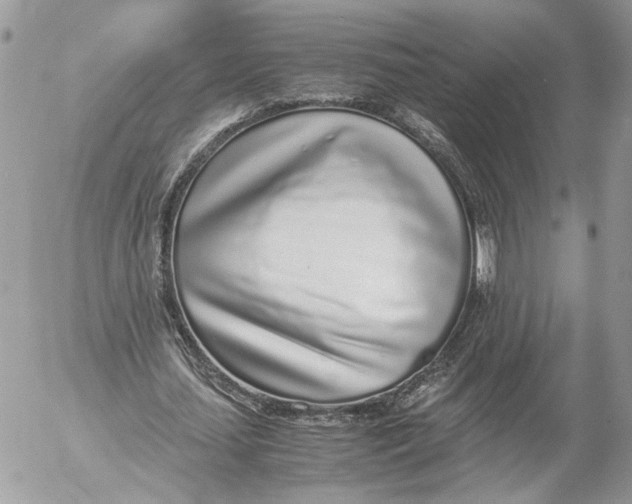 X0000052580627200507221544
