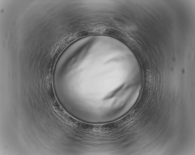 X0000052580641200507221544