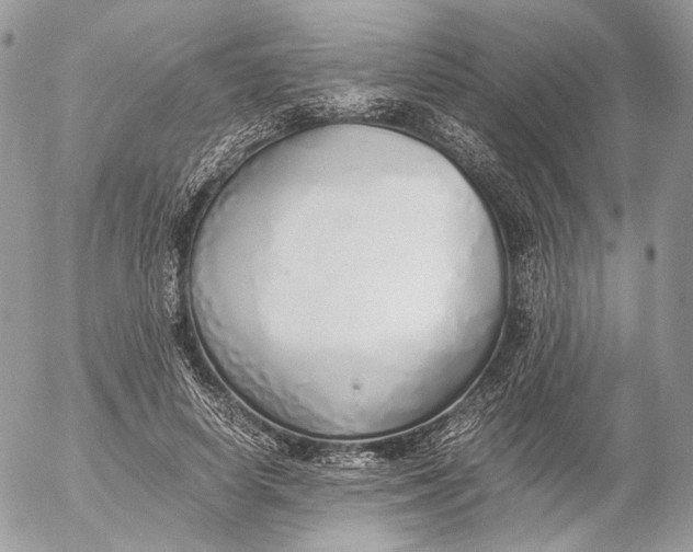 X0000052580642200507221544