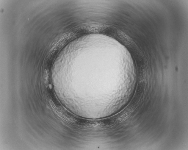 X0000052580646200507221544