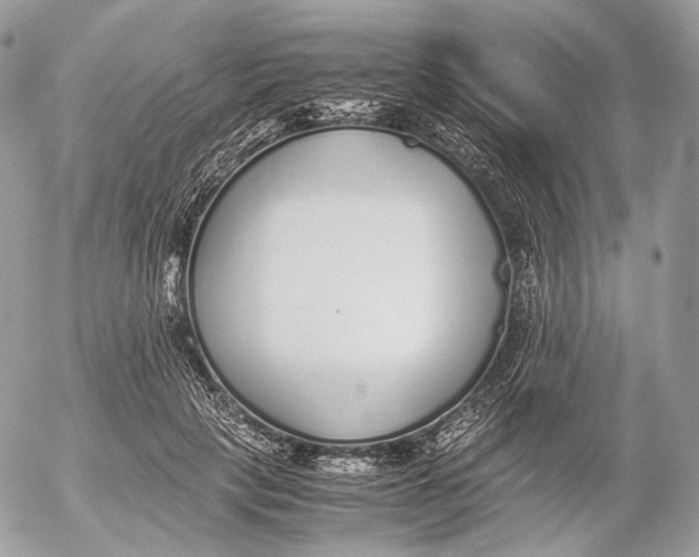 X0000052580649200507221544