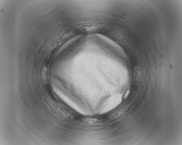 X0000052580650200507221544