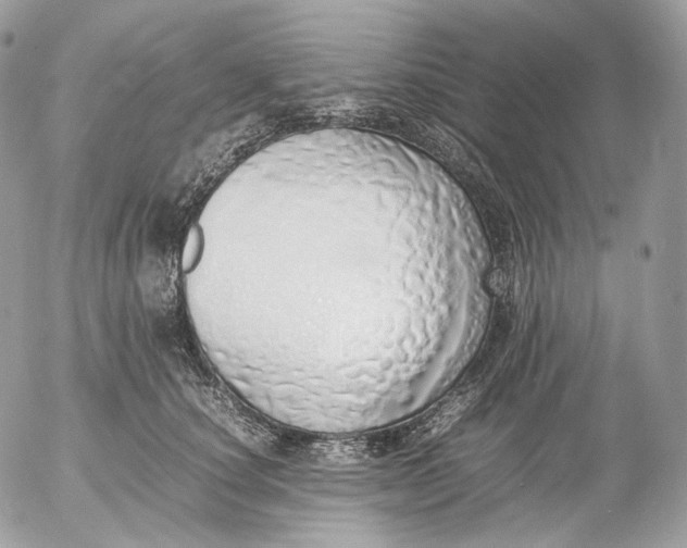 X0000052580660200507221544