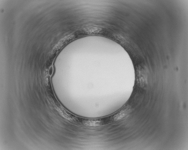 X0000052580664200507221544