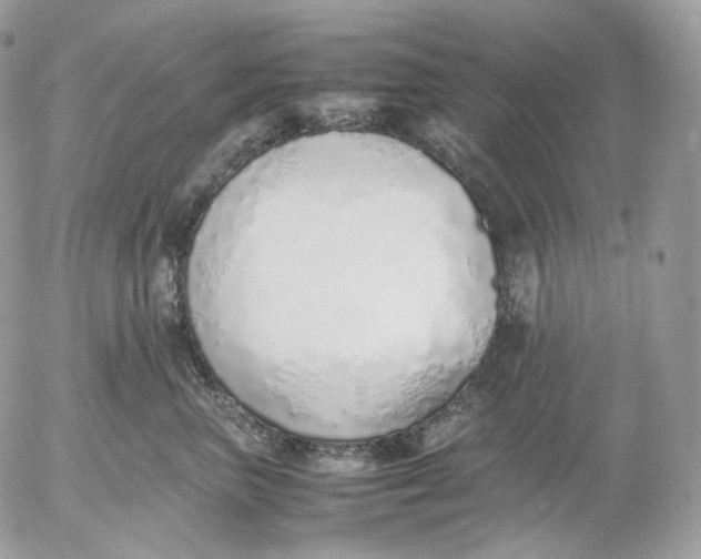X0000052580667200507221545