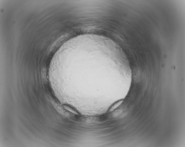 X0000052580670200507221545