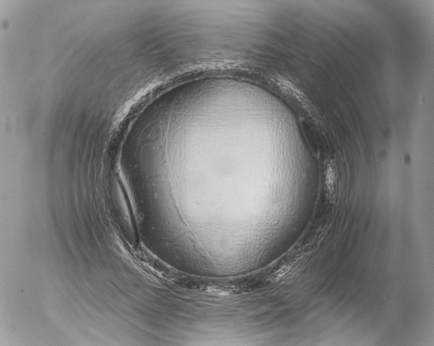 X0000052580684200507221544