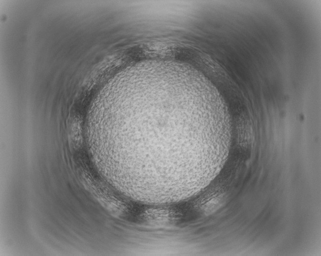 X0000052580699200507221543