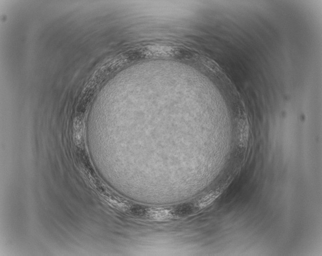 X0000052580701200507221543