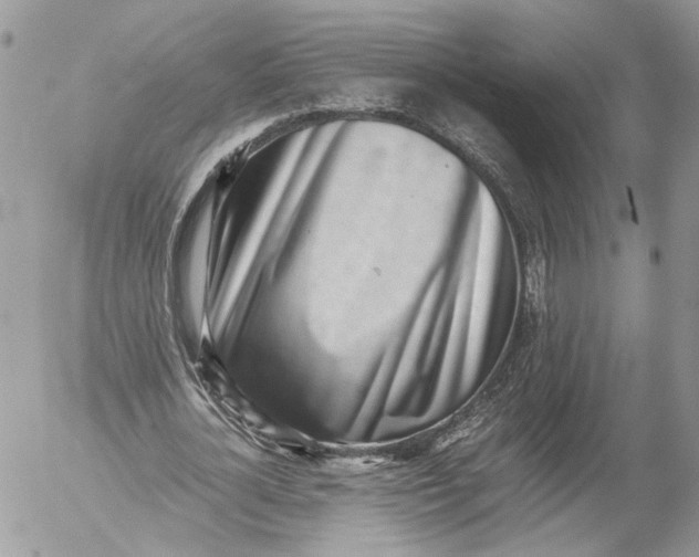 X0000052580724200507221542